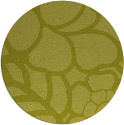 clara rug - item 223244