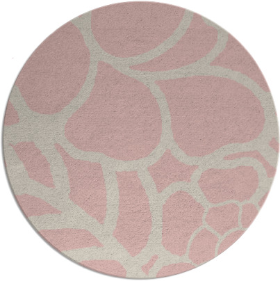 clara rug - item 223263