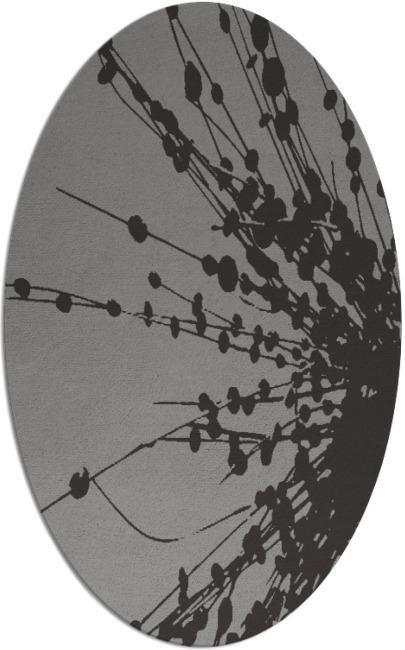 ibis rug - item 315543