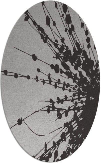 ibis rug - item 315698