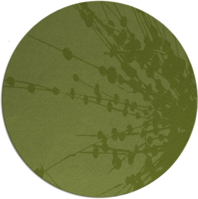 ibis rug - item 316240