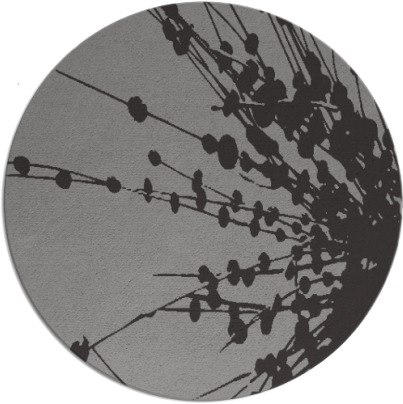 ibis rug - item 316247