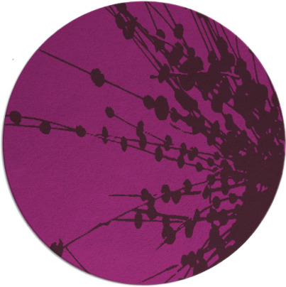 ibis rug - item 316268