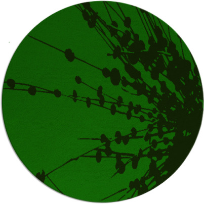 ibis rug - item 316269