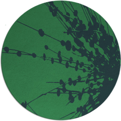 ibis rug - item 316283