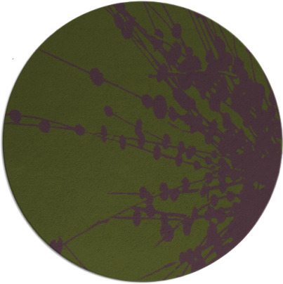 ibis rug - item 316340