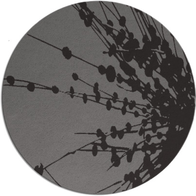 ibis rug - item 316352