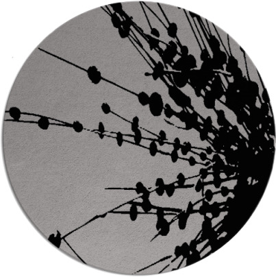 ibis rug - item 316373