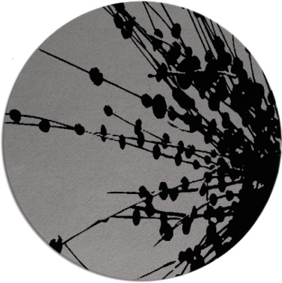 ibis rug - item 316375