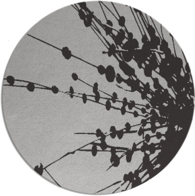 ibis rug - item 316402