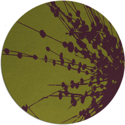 ibis rug - item 316430