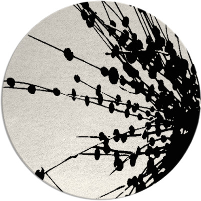 ibis rug - item 316473