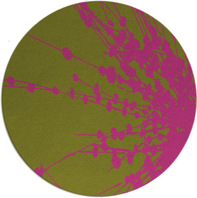 ibis rug - item 316529