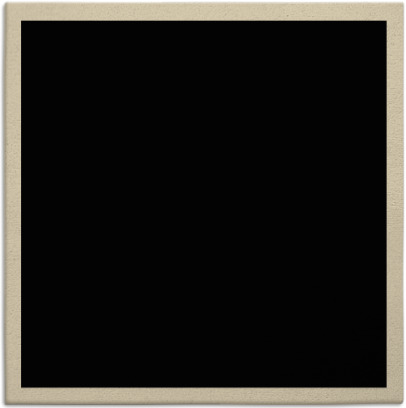 edge rug - item 369784
