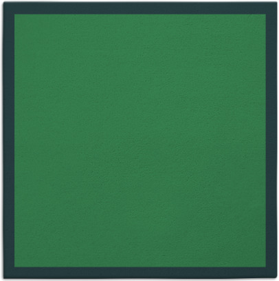 edge rug - item 369787