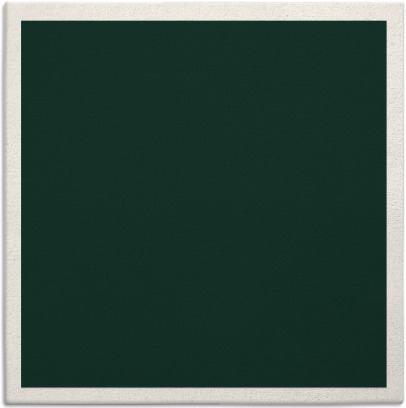 edge rug - item 369839