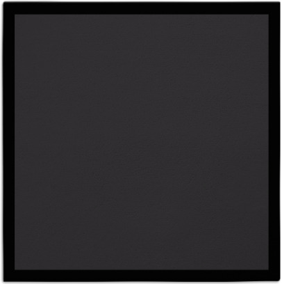 edge rug - item 369979