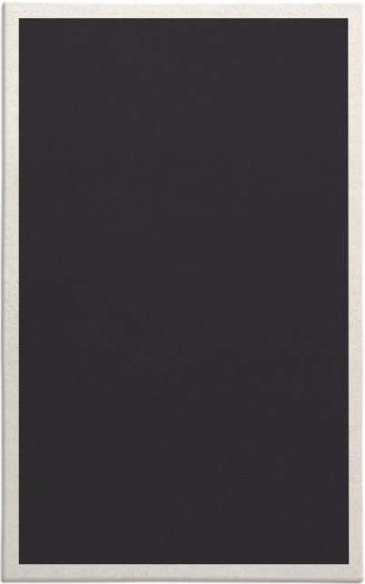 edge rug - item 370415