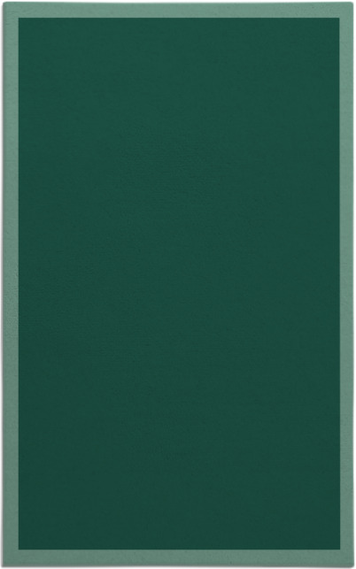 edge rug - item 370467