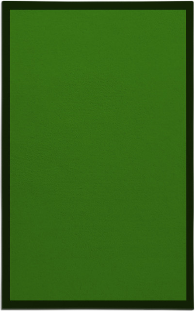 edge rug - item 370479