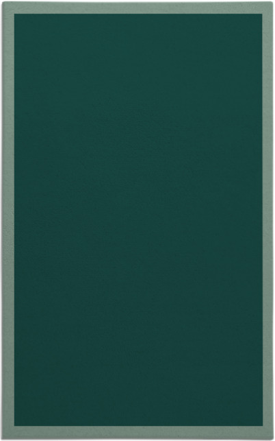 edge rug - item 370616