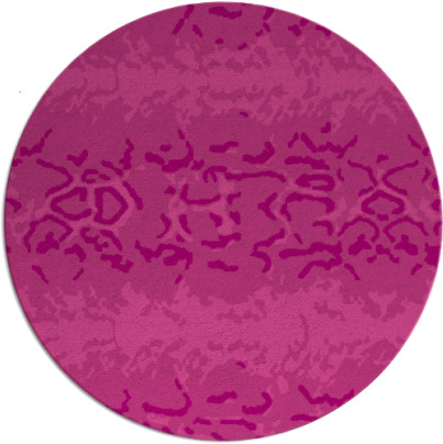 hissy rug - item 453691