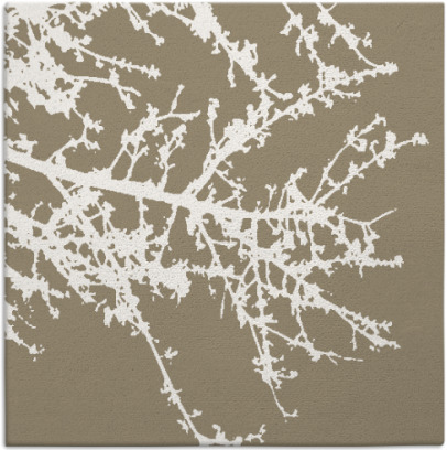 spruce rug - item 492906