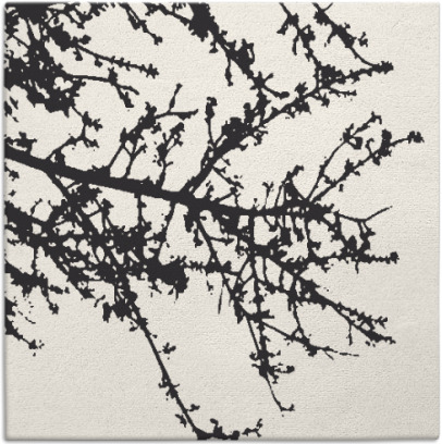 spruce rug - item 492912