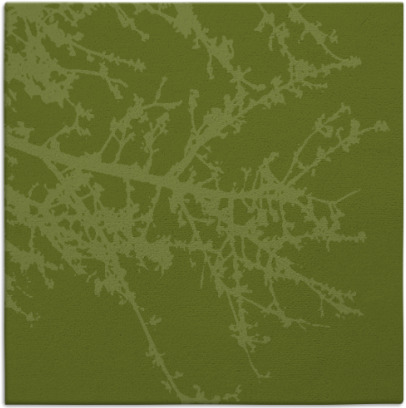 spruce rug - item 492943