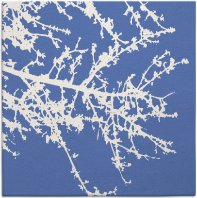 spruce rug - item 492945