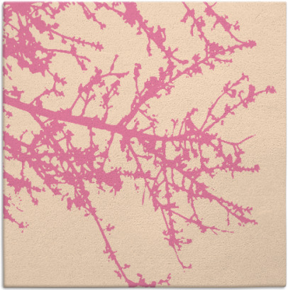 spruce rug - item 492953