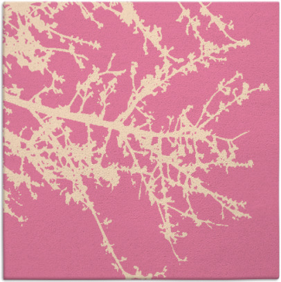 spruce rug - item 492954