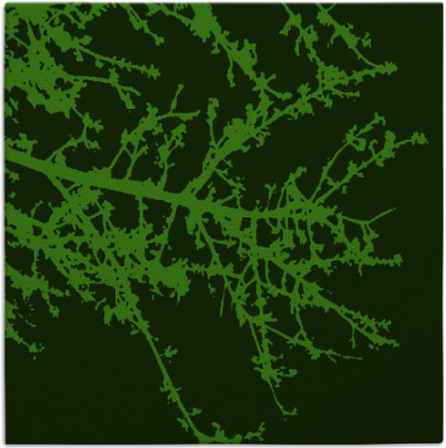 spruce rug - item 492976