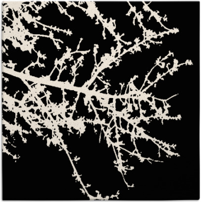 spruce rug - item 492982