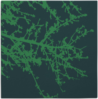 spruce rug - item 492988