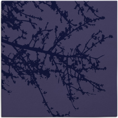 spruce rug - item 492990