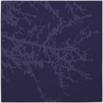 spruce rug - item 492991