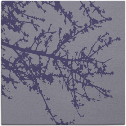 spruce rug - item 492993