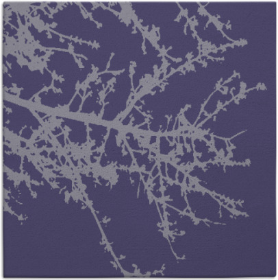 spruce rug - item 492994