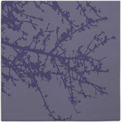 spruce rug - item 492995