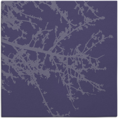 spruce rug - item 492996