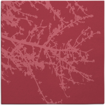 spruce rug - item 492999