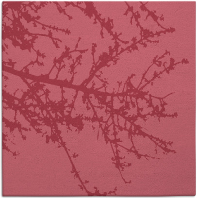 spruce rug - item 493000