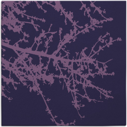 spruce rug - item 493001