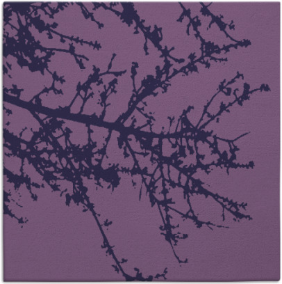 spruce rug - item 493002