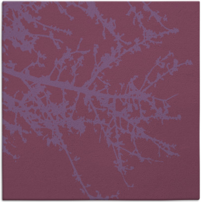 spruce rug - item 493003