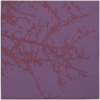 spruce rug - item 493004