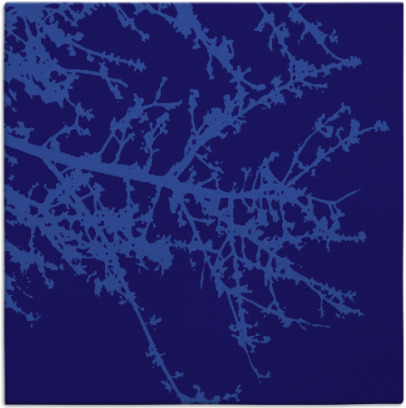 spruce rug - item 493010