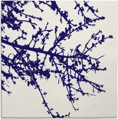 spruce rug - item 493011