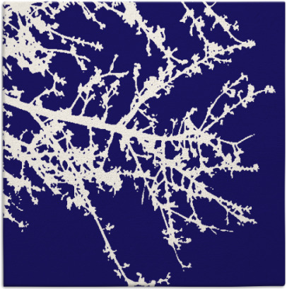 spruce rug - item 493012